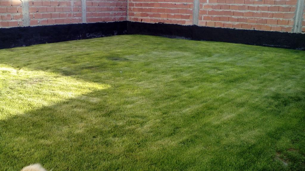 Habitacion Privada En La Casa De Thor Trelew Bagian luar foto